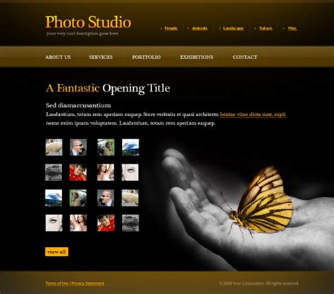 Photo Gallery Web Template - 6072 - Art & Photography - Website Templates - DreamTemplate