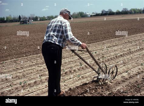 Pushing plow hi-res stock photography and images - Alamy