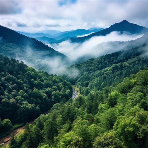 Premium Photo | North Georgia Mountains View