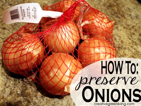 How to Preserve Onions in Your Freezer | Creative Green Living