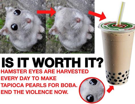 Is It Really Worth It? Boba Tea Meme | Is It Really Worth It? | Know Your Meme