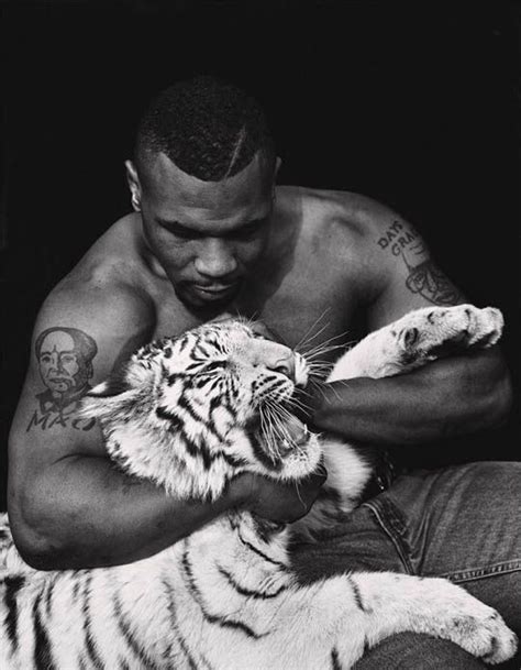 Today’s Photograph #Tyson | Mike tyson, Pet tiger, Celebrity photography