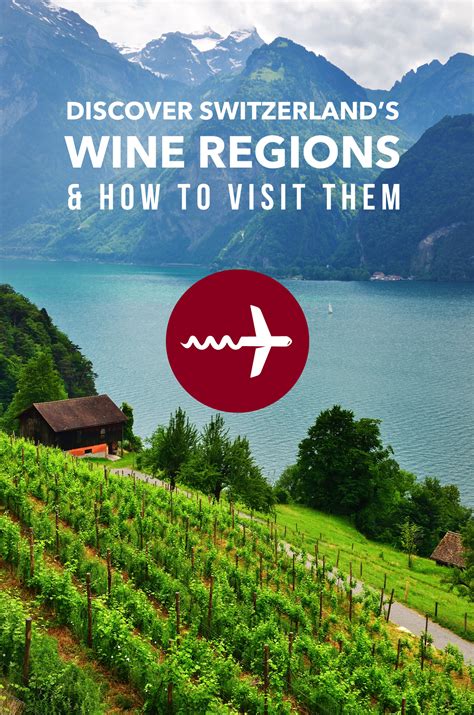 Switzerland Wine Guide: Discover Swiss Wine & Regions | Suiça, Zurique ...