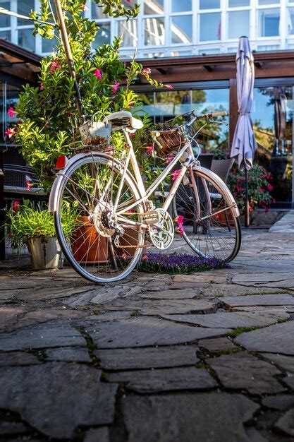 Premium Photo | Old bicycle in a garden