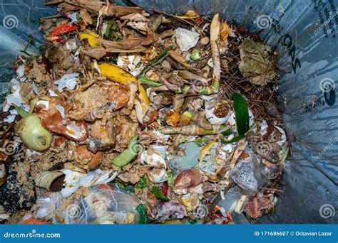 Pile of Organic Food Waste Trash in a Plastic Bag Container Being Collected for Recycling Stock ...