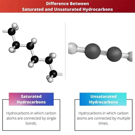 Saturated vs Unsaturated Hydrocarbons: Difference and Comparison