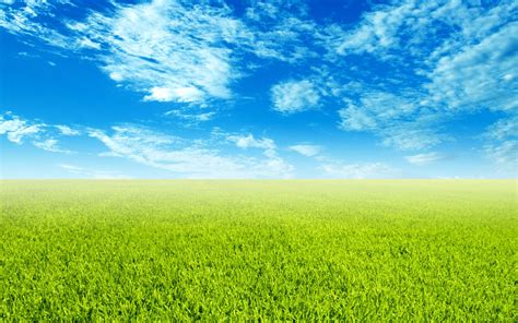 Grass Sky Wallpapers Group (77+)