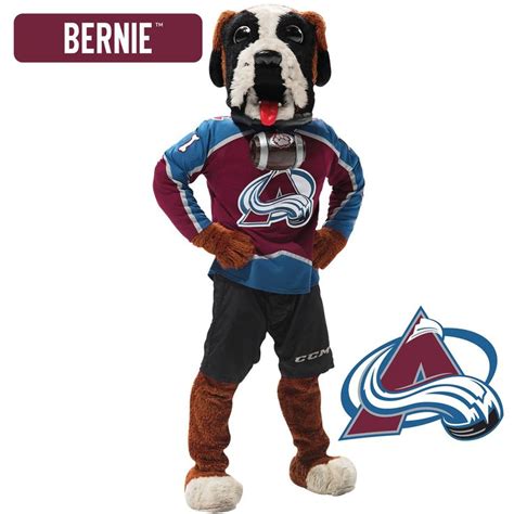 Colorado Avalanche: Bernie 2021 Mascot - Officially Licensed NHL Remov ...