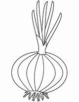 Onion coloring page  Free Printable Coloring Pages sketch template