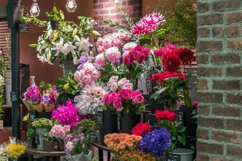 Flowers on the Counter of a Flower Shop in Japan. Copy Space for Text. Stock Photo - Image of ...