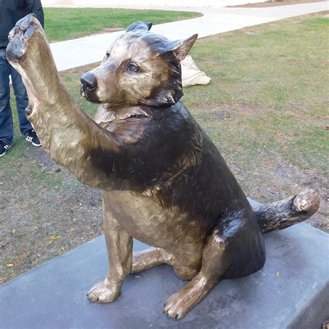 Permanent salute to onetime NIU mascot unveiled outside Huskie Stadium ...