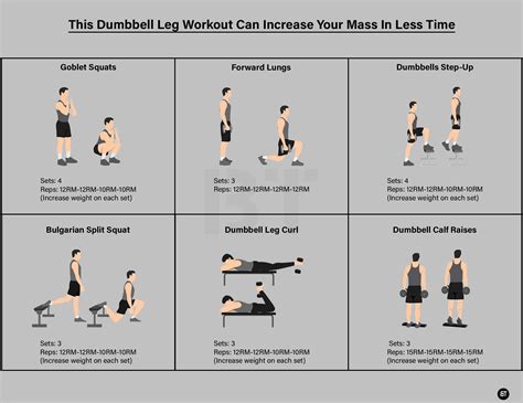 Leg Workout Set With Dumbbell And Barbell Stock Vector Illustration Of Activity, Bench ...