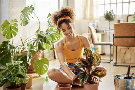 Living Room Plants | Baci Living Room