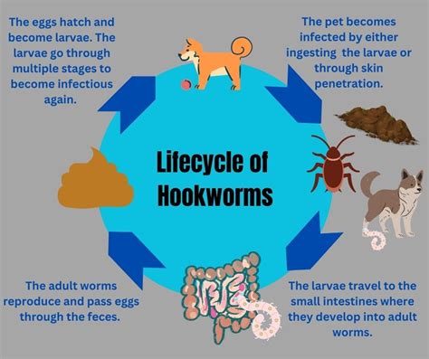 Hook(worms), Line, and Sinker | Ottawa Animal Hospital East in Holland, MI