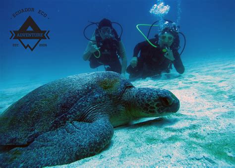 Galapagos Diving Tours - Galapagos Islands Diving Adventure Tours