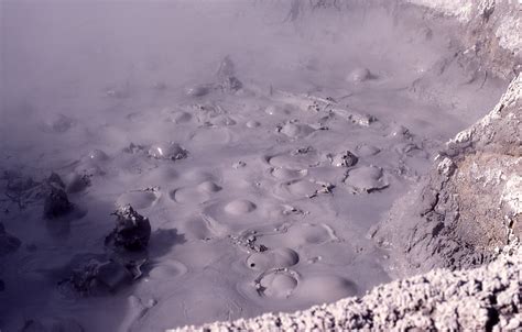 Mud pots in mud volcano area in Yellowstone | Yellowstone national park ...