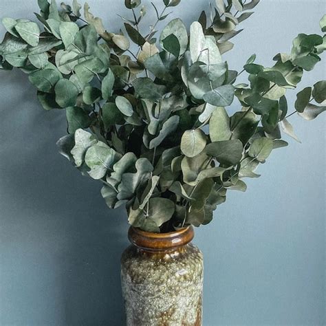 Eucalyptus Bouquet - Etsy