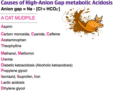 causes of high-anion gap metabolic acidosis - ER - renal - pharm | Medical mnemonics, Anion gap ...