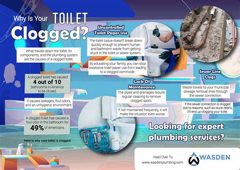 Why Is Your TOILET Clogged? - Wasden Plumbing