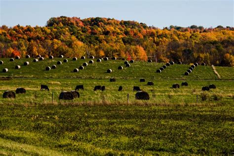 New England Fall Foliage Photos : Fall : Travel Channel | Travel Channel