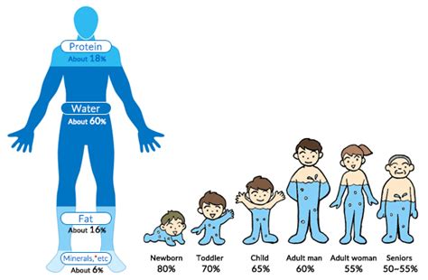 The human body and water | Otsuka Pharmaceutical Co., Ltd.