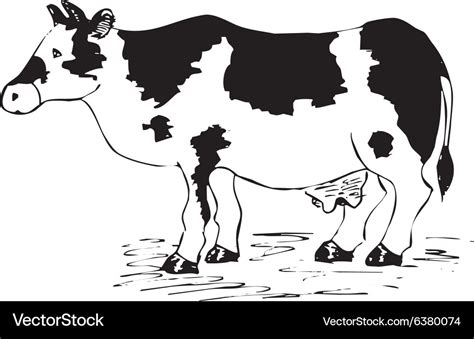 Cow drawing cartoon Royalty Free Vector Image - VectorStock