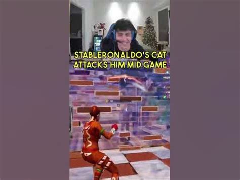 Stable ronaldos cat attacks him mid game 🤣🤣 #fortnite #fortniteclips #gaming #sweaty #ronaldo ...