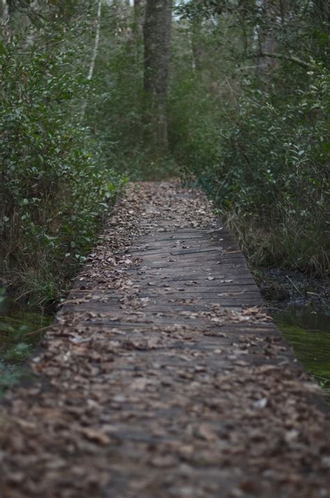 Photography | Aiken State Park