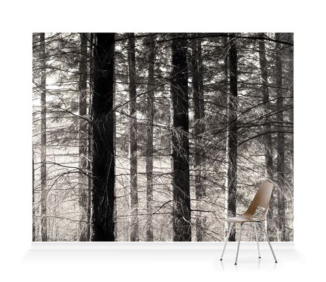 'Forest' Wallpaper Mural | SurfaceView