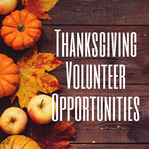 Thanksgiving Volunteer Opportunities | Enjoy OC