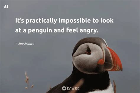 27 Penguin Quotes about the Monogamous Waddling Bird