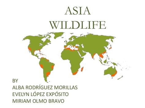 Asia wildlife