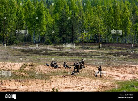 NATO soldiers. International Military Training "Saber Strike 2017 ...