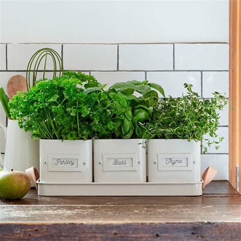 10 Charming Indoor Herb Garden Planters | Taste of Home