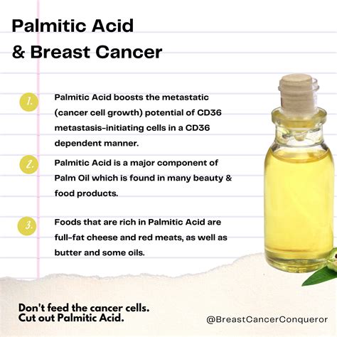 What does Palmitic Acid have to do with Breast Cancer? - Breast Cancer Conqueror