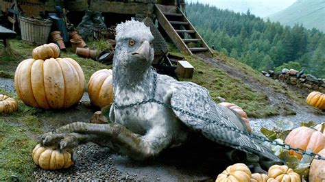 Buckbeak Hippogriff HD Harry Potter and the Prisoner of Azkaban ...