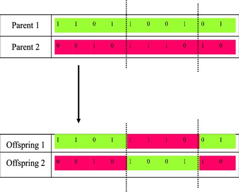 7: Two-point crossover. | Download Scientific Diagram