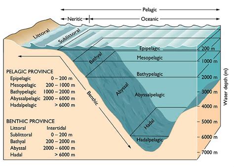 Oceanography Diagrams