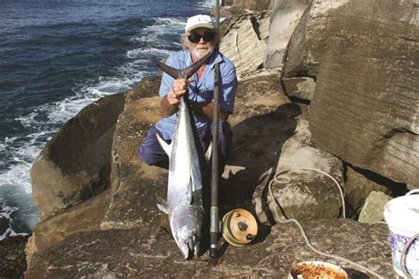 Land-based longtail tuna on Iluka breakwall | Bush 'n Beach Fishing Mag