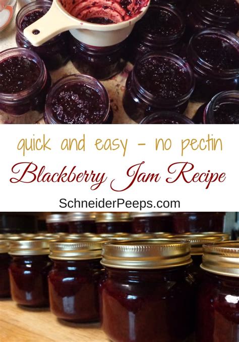 An Easy Blackberry Jam Recipe for Canning or Freezing | SchneiderPeeps