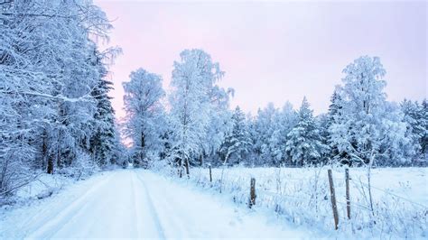 Winter Wonderland Snow Music - Beautiful Snow Scene & Best sleep music and relaxing music sleep ...