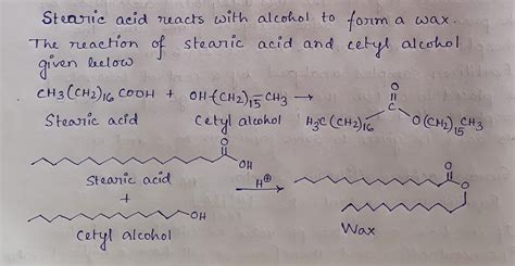 Spermaceti Structure