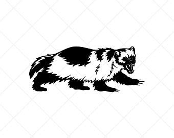 Wolverine Animal Vector at Vectorified.com | Collection of Wolverine ...