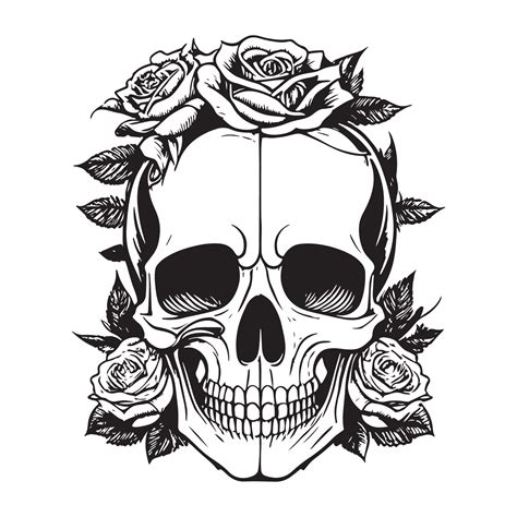 Skull With Rose Flower Black Outline Vector. Human skull with rose sketch drawing, tattoo vector ...