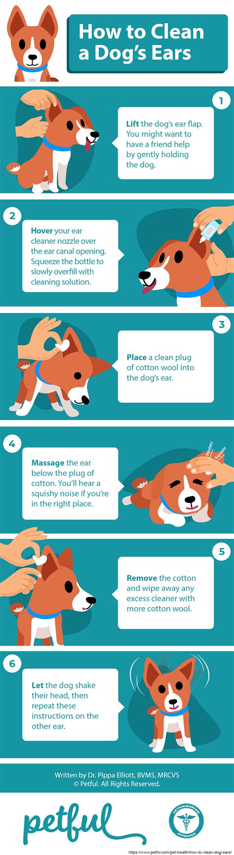 How to Clean Dog Ears: An Expert Guide (Vet-Approved Advice) | Dog ear ...