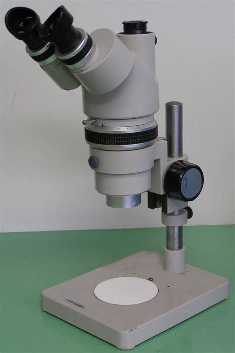 Stereo microscope - Wikipedia