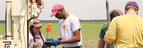 Solutions for Coastal NC | North Carolina Sea Grant