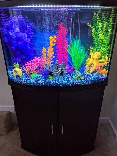 Our first Aquarium set-up! : r/fishtank