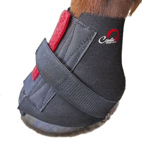 Top 10 Best Cavallo Horse Boots - Best of 2018 Reviews | No Place ...