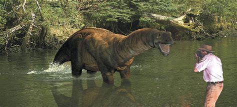 Mokele-mbembe: a living dinosaur?